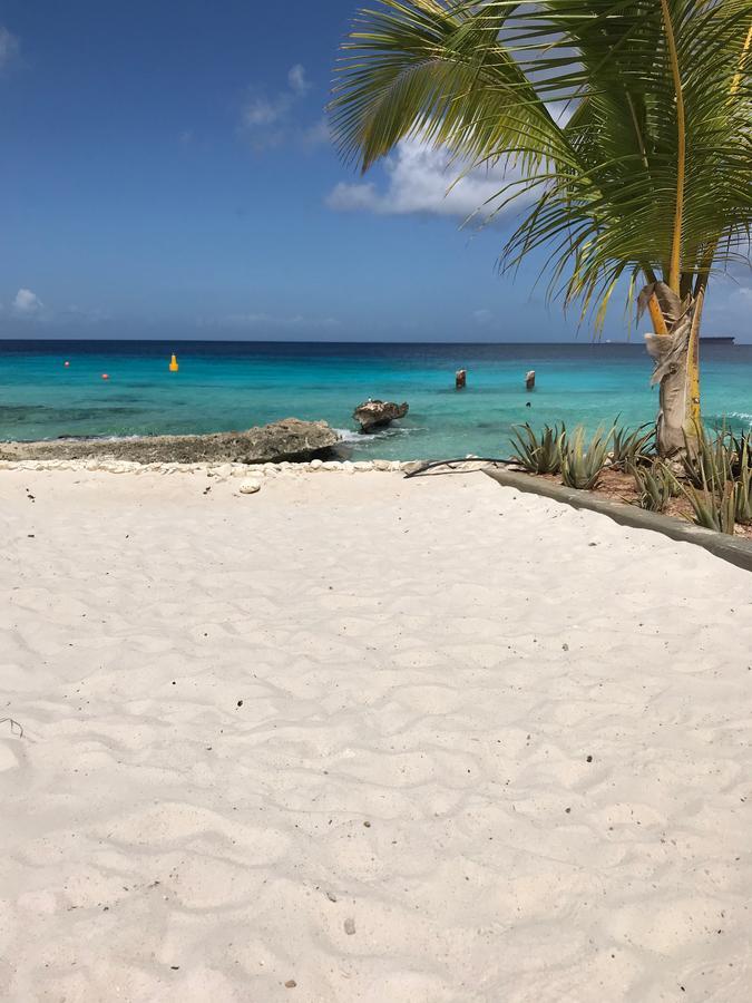 Bonaire Boutique Resort Playa Exterior foto